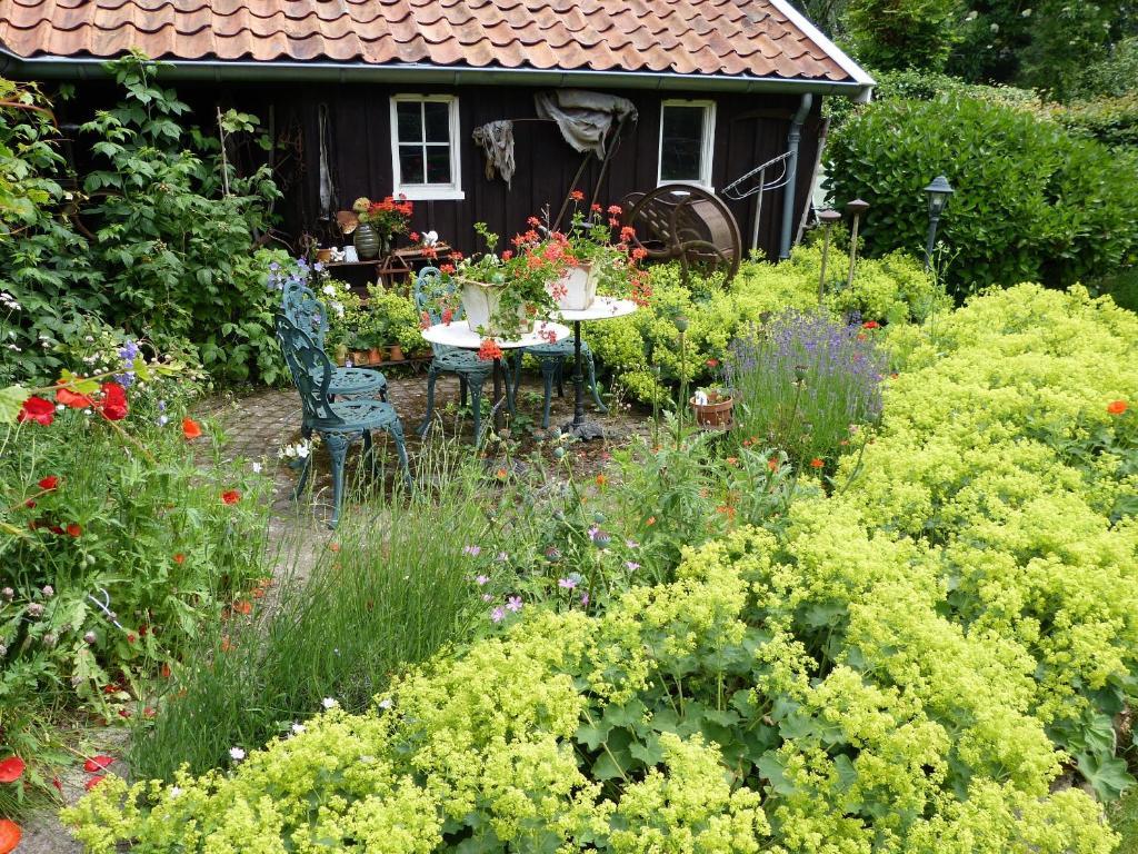 B&B En Appartementen Triente Buinen Eksteriør bilde